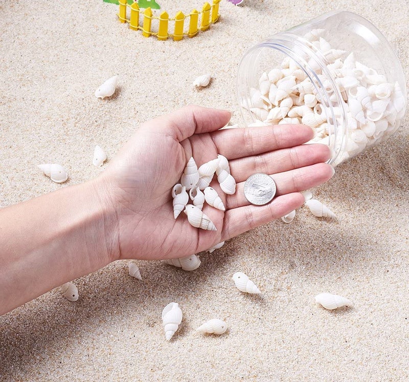 KISSITTY About 300pcs Natural Beach Sea Shell Beads with Holes 1mm Length 16-25mm Trumpet Spiral Seashells for DIY Craft Jewelry Making Wedding Party Home Decor - Image 4