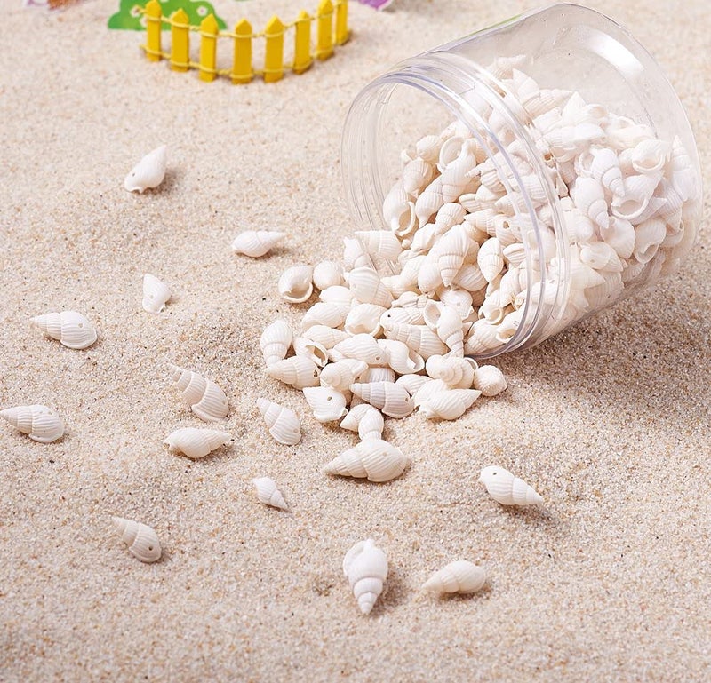 KISSITTY About 300pcs Natural Beach Sea Shell Beads with Holes 1mm Length 16-25mm Trumpet Spiral Seashells for DIY Craft Jewelry Making Wedding Party Home Decor - Image 5