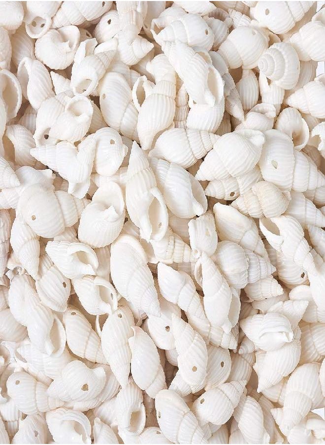 KISSITTY KISSITTY About 300pcs Natural Beach Sea Shell Beads with Holes 1mm Length 16-25mm Trumpet Spiral Seashells for DIY Craft Jewelry Making Wedding Party Home Decor  - Image 1