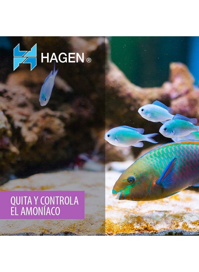 Aquaclear Aqua Clear AquaClear 20 Ammonia Remover Inserts, Aquarium Filter Replacement Media, A596 - Image 2