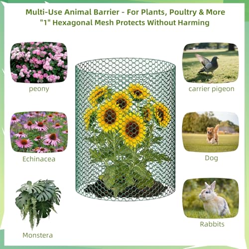YGGlDUOl Chicken Wire, Easy to Shape, 15.7 x 87 Inches, Green PVC Coated Lightweight Galvanized Hexagonal Chicken Wire mesh, Floral Chicken Wire for Craft, Poultry, Garden - Image 2