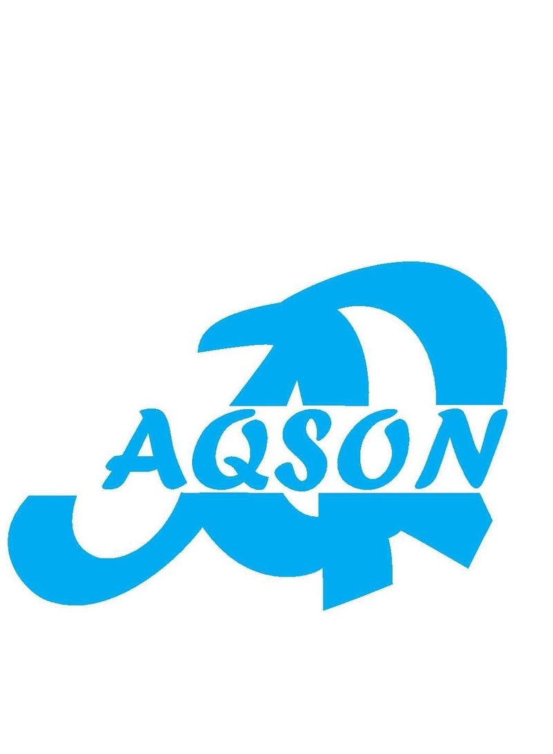 AQ AQSON مسمار GI مقاس 16 مم × 150 مم - Image 3