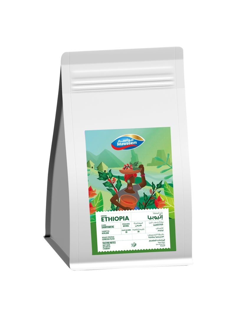 Mawasem Specialty Coffee Beans - Ethiopia Shantawene (500g) - Image 1