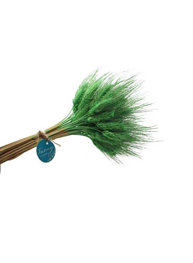 FANCY FLOWERS Fancy Dry Wheat Grass Bouquet Natural Dried Flowers (Forest Green-50) - Image 2