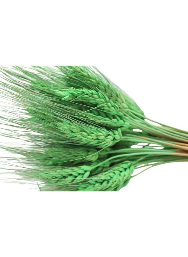 FANCY FLOWERS Fancy Dry Wheat Grass Bouquet Natural Dried Flowers (Forest Green-50) - Image 3