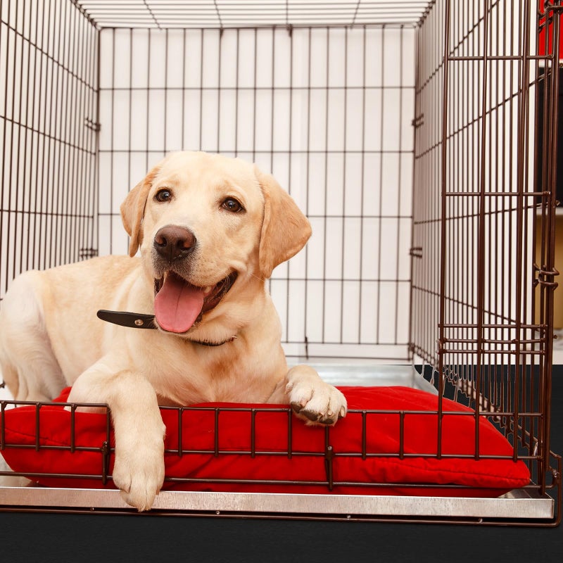 Drydiet PVC Pet Crate Floor Protection Mat 29" X 44" XXL Washable Floor Covering Reusable Waterproof Non Slip Rug Whelping Pad for Pet - Image 5