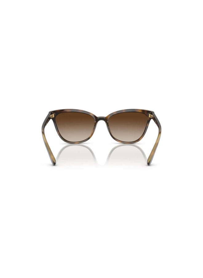 Vogue Women Full Rim Cat Eye Sunglasses 0VO5496SI 54 - Image 4