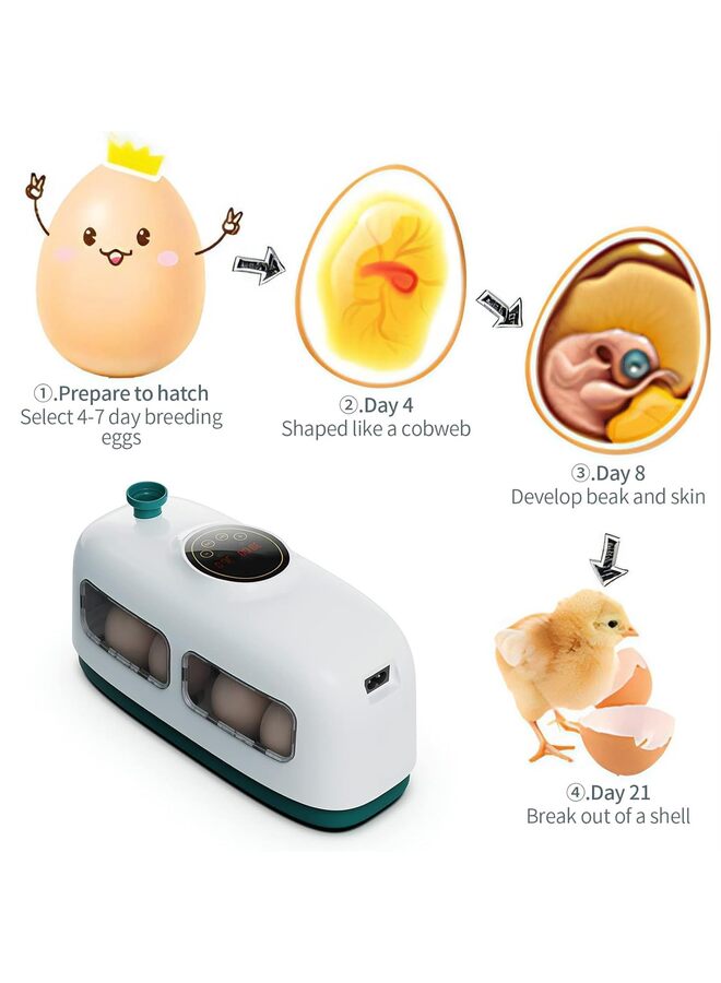 يُسلِّم حاضنة بيض، حاضنات بيض رقمية لتفقيس البيض، حاضنات بيض LED للتحكم في الرطوبة مع جهاز اختبار شموع البيض، لتفقيس بيض الدجاج والبط والسمان والطيور (اللون: أخضر) - Image 4