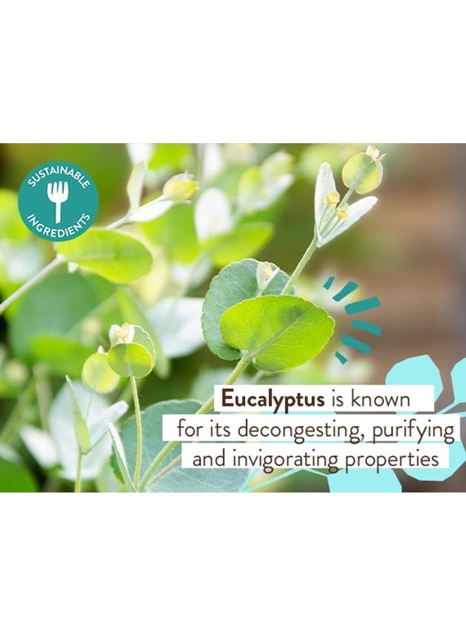 Babo Botanicals Eucalyptus Remedy 2-in-1 Bubble Bath & Wash - Invigorating Eucalyptus, Rosemary & Peppermint - For all ages - EWG Verified - Vegan - Image 2