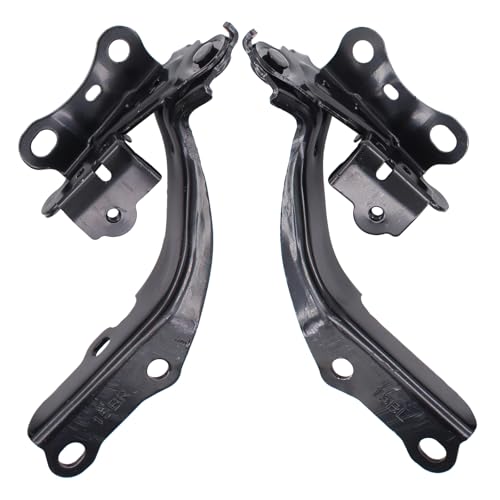 ApplianPar Driver and Passenger Side Hood Hinges for Toyota Camry 2018 2019 2020 2021 2022 2023 2024 - Image 1