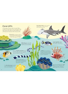 Usborne Book and Jigsaw Coral Reef  - Image 4