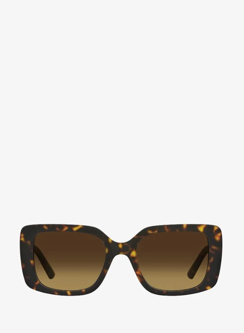 Wayfarers Sunglasses