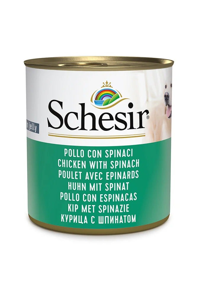 شيسر طعام الكلاب الرطب من شيسير في علبة جيلي - دجاج مع سبانخ 285 جرام - Image 1