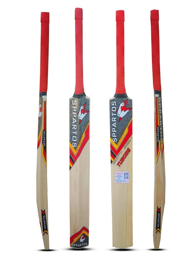 مضرب كريكيت SPPARTOS Tuborg Youth Size Kashmir Willow - تصميم يركز على الأداء لجميع مستويات المهارة (مقاس 4) - Image 1
