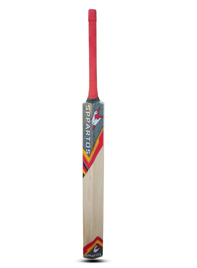 مضرب كريكيت SPPARTOS Tuborg Youth Size Kashmir Willow - تصميم يركز على الأداء لجميع مستويات المهارة (مقاس 4) - Image 3
