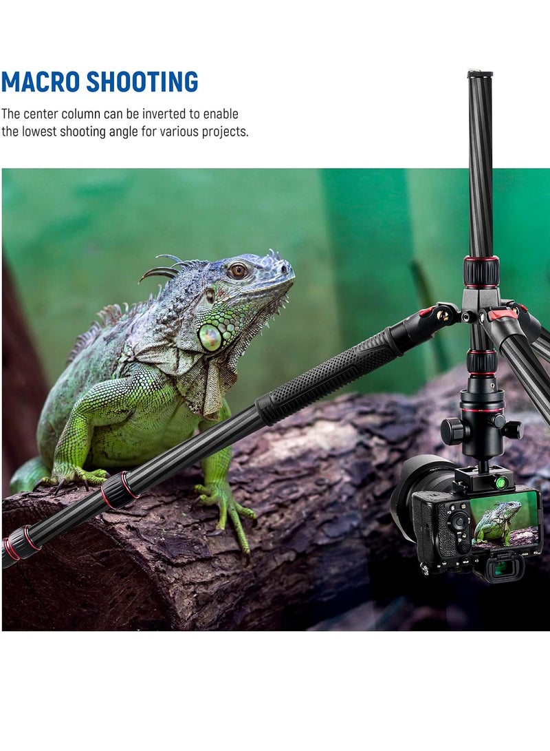 Neewer Upgraded 80.7” Carbon Fiber Camera Tripod Monopod with Telescopic 2 Section Center Axes, 360° Ball Head,1/4” Arca Type QR Plate, Travel Tripod for DSLR Panoramic Shot, Max. Load 26.5lb, N55CR - Image 2
