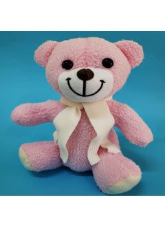 Pink Plush Teddy Bear