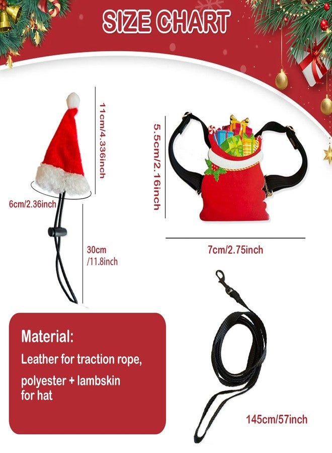 hokable Christmas Bearded Dragon Santa Hat Lizard Leash Harness Set - with Santa Hat Lizard Leash Harness Reptile Leopard Gecko Christmas Cosplay Accessories - Image 2