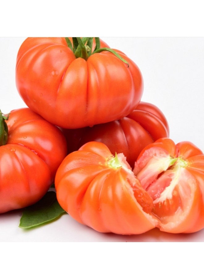 Beefsteak Tomato Seeds for Planting - Tomato seeds for Planting - Image 2