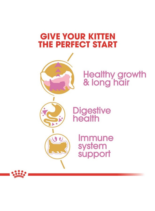 رويال كانين طعام جاف للقطط الصغيرة من السلالة الفارسية، 3 رطل. - Image 3