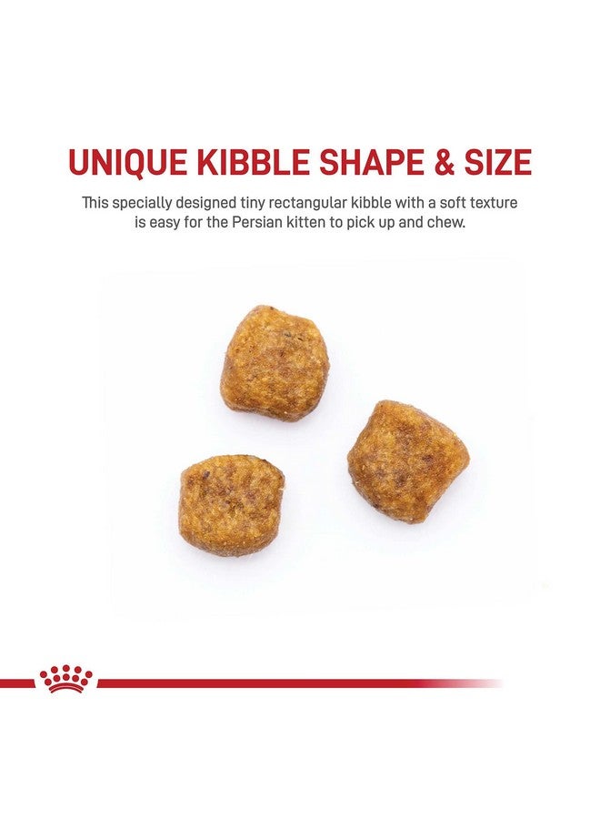 رويال كانين طعام جاف للقطط الصغيرة من السلالة الفارسية، 3 رطل. - Image 2