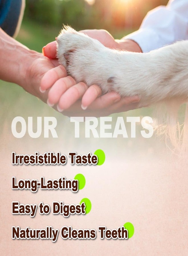 A Freschi srl Turkey Tendons for Dogs, Long-Lasting, Hypoallergenic Rawhide Alternative, Human Grade, Healthy Puppy Chews, Natural Dog Treats for Large Dogs, Bone (L), 1 Count Pack - Image 3
