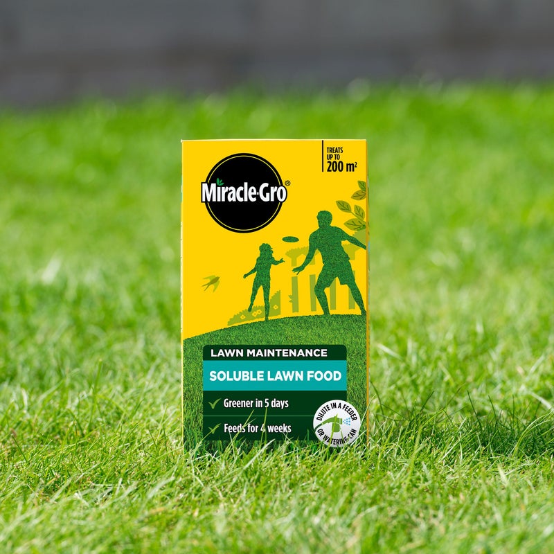Miracle-Gro Water Soluble Lawn Food, 1 kg - Image 3
