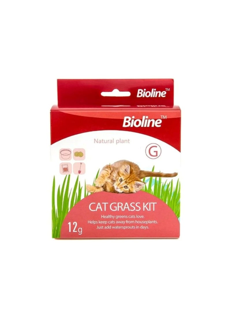 بايولاين مجموعة عشب القطط – 12 جرام