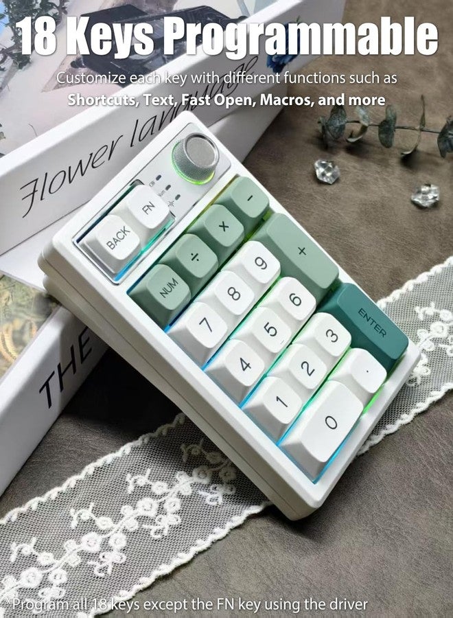 TISHLED Gasket Creamy Mechanical Numpad Programmable Macro Keypad Wireless 2.4G/Bluetooth 5.0/Wired USB-C RGB Backlit Hot Swappable Number Pad Rechargeable Numeric Keyboard Metal Knob, Botanic Garden - Image 4