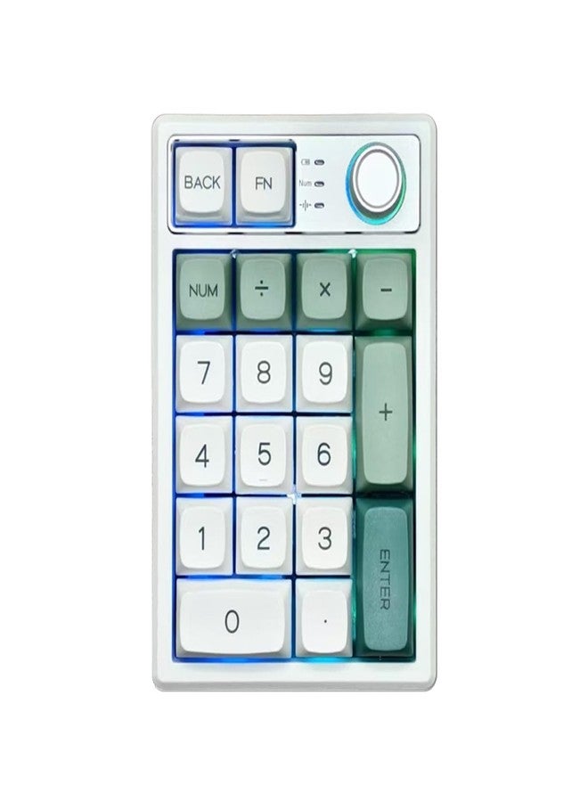 TISHLED Gasket Creamy Mechanical Numpad Programmable Macro Keypad Wireless 2.4G/Bluetooth 5.0/Wired USB-C RGB Backlit Hot Swappable Number Pad Rechargeable Numeric Keyboard Metal Knob, Botanic Garden - Image 1