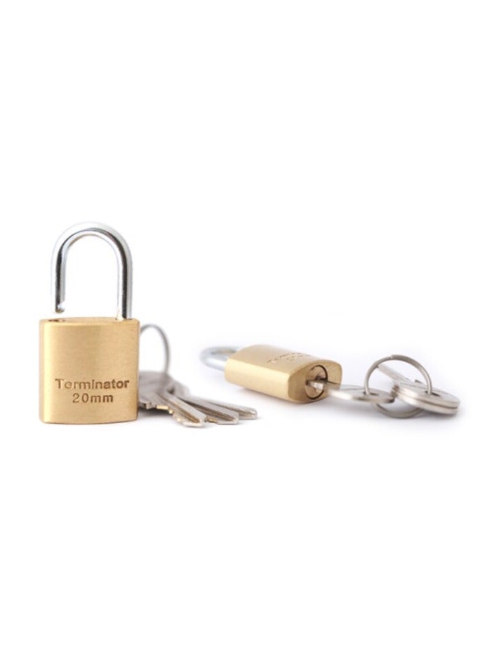 Terminator Terminator brand Brass Pad Locks Set of 2 - Image 1