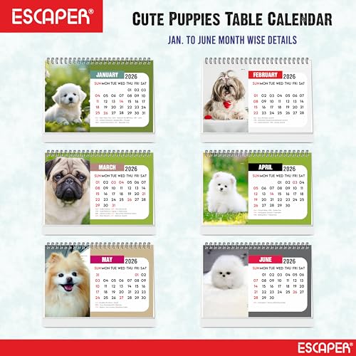 ESCAPER Cute Puppies 2026 Desk Calendar – A5 Puppy Table Calendar, 16-Page Desktop Planner with Holidays & To-Do List, New Year Gift for Dog Lovers - Image 2