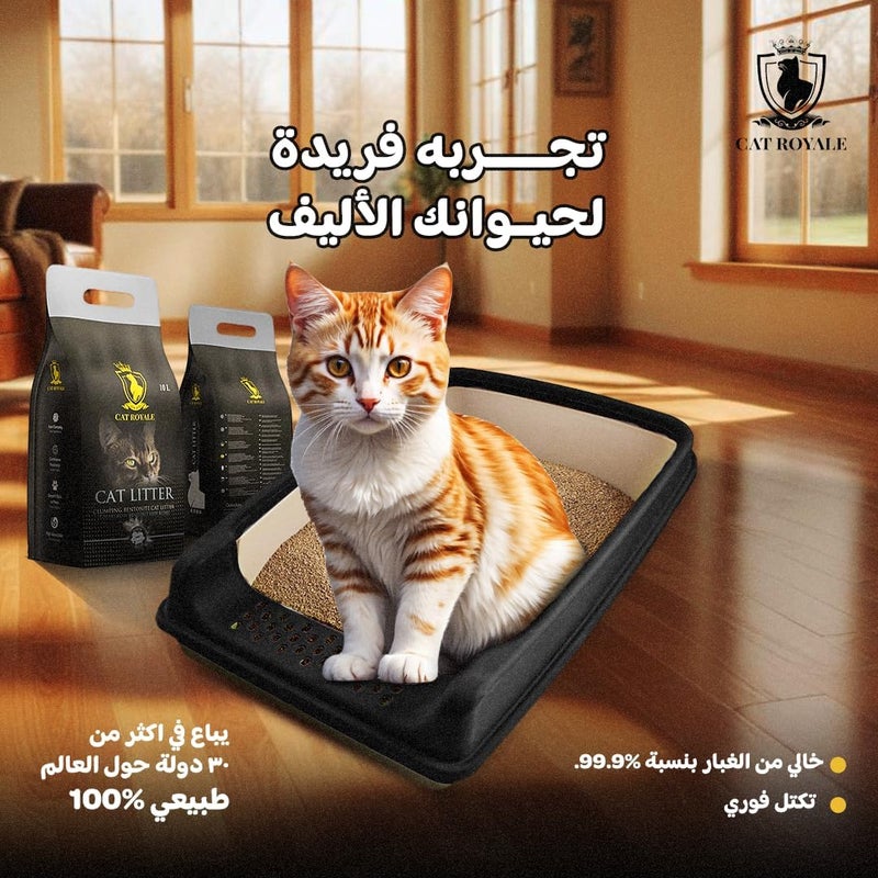 Cat Royale Lavender Scent Clumping Cat Litter, 5 L, Natural Bentonite, 99.5% Dust Free, Fast Firm Clumps, High Absorption, Low Tracking, Long Lasting Freshness - Image 5