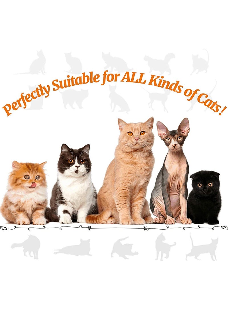 MissTiara 24 قطعة ألعاب قطط، ألعاب جراء القطط، ألعاب قطط تفاعلية ملحقات للقطط الداخلية، نفق قطط، عصا ترفيه متنوعة مع ريش، ألعاب قطط لجرو القطط للعض، سمكة نبتة القطط، فئران، كرات لعشاق الحيوانات الأليفة القطط - Image 3