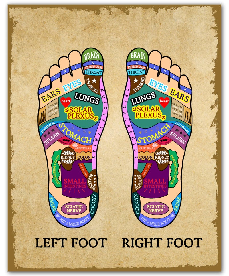 ZUKIY Vintage Foot Reflexology Chart Art - Foot Reflexology Chart - Reflexology Wall Art - Massage Room Wall Decor - Therapist Office Sign - Feet Poster - Massage Therapy Room Decor - 8x10 Unframed Poster - Image 1