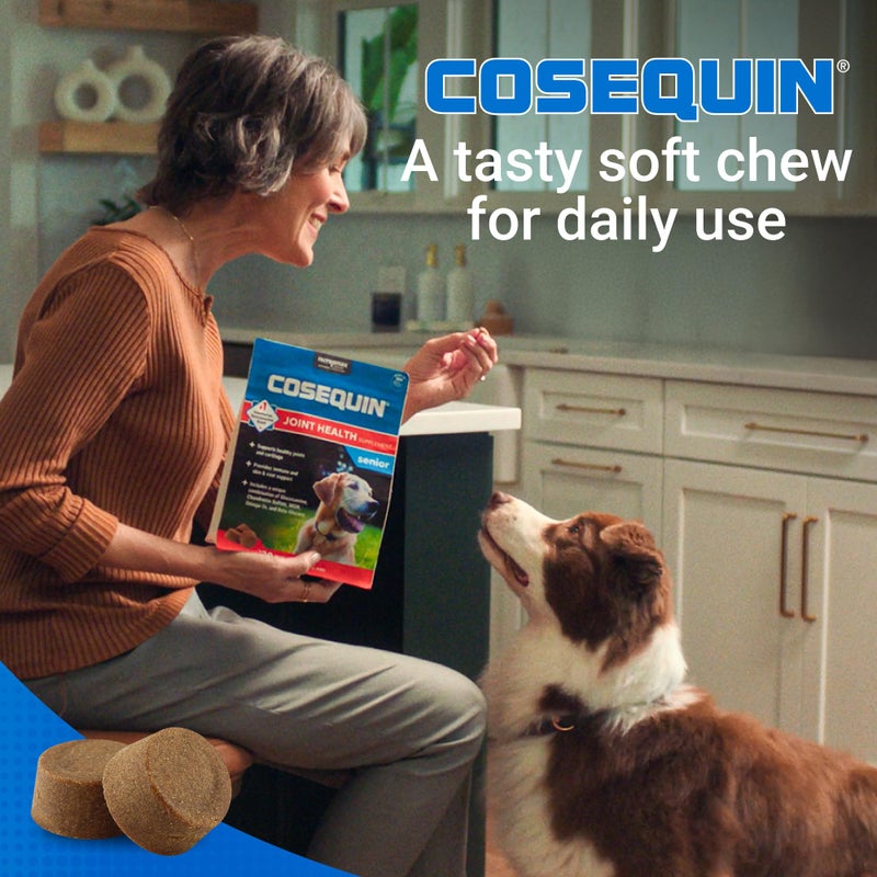 Nutramax Laboratories Nutramax Cosequin for Senior Dogs Joint Health Supplement, Contains Glucosamine, Chondroitin, MSM, Omega-3s and Beta-Glucan, Supports Joint, Skin and Coat, Immune Health, Soft Chews, 120 Count - Image 4