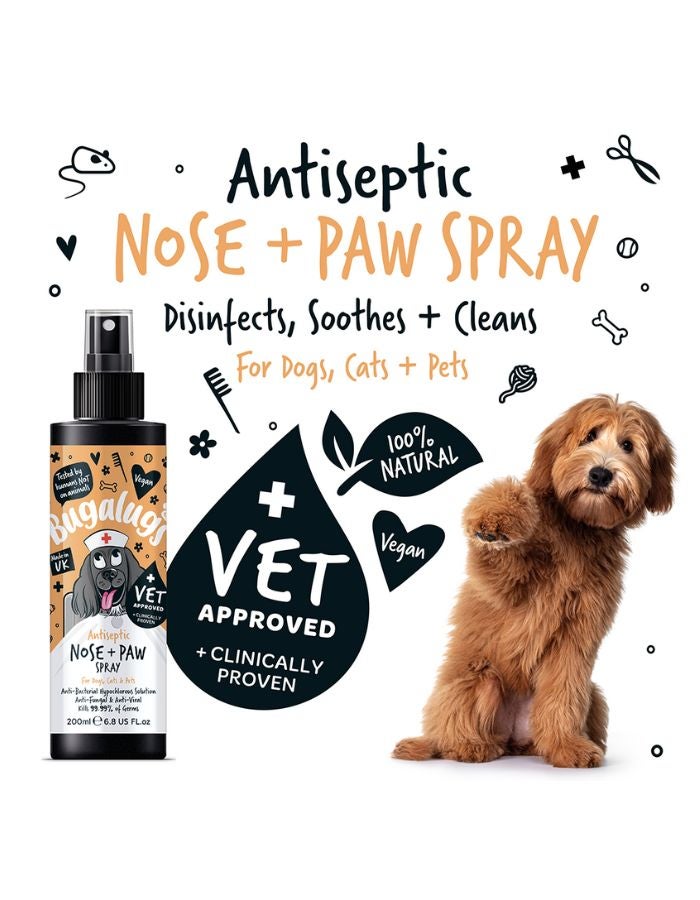 Bugalugs Antiseptic Paw & Nose Spray for Dogs & Cats 200ml – Cleans, Protects & Soothes Sensitive Areas - Image 2