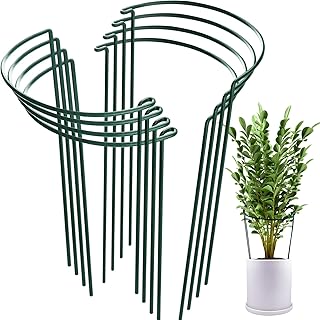 HiGift HiGift 8 Pack Plant Support Stakes, Half Round Metal Garden Plant Stake Plant Support Cage, Green Plant Support Ring  - Image 1