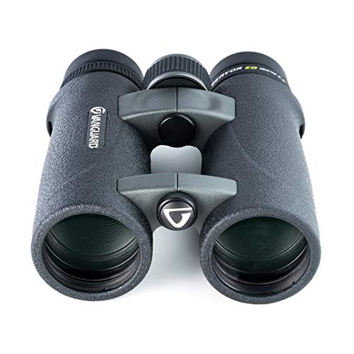 VANGUARD Endeavor ED 10x42 Binocular, ED Glass, Waterproof/Fogproof, Black (Endeavor ED 1042) - Image 3