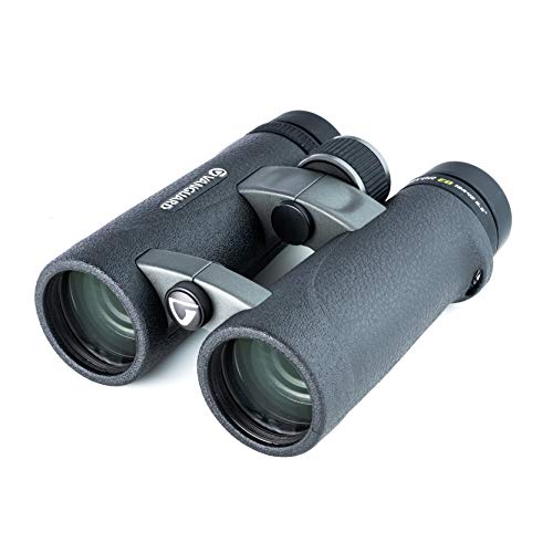 VANGUARD Endeavor ED 10x42 Binocular, ED Glass, Waterproof/Fogproof, Black (Endeavor ED 1042) - Image 1