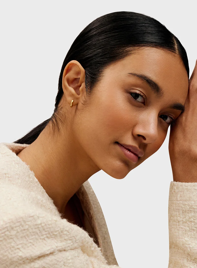 Ted Baker Logo Detail Hoop Earrings