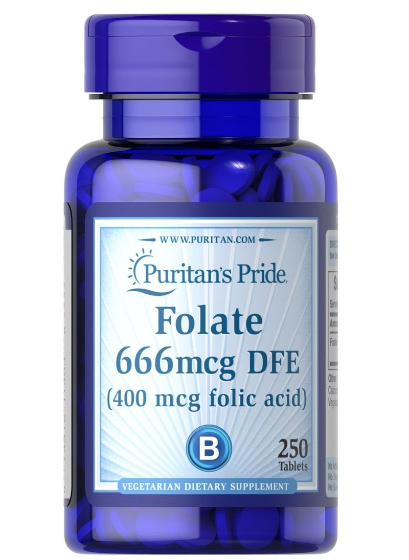Puritan's Pride Folate Folic acid (400 mcg , 250 tablets ) 
