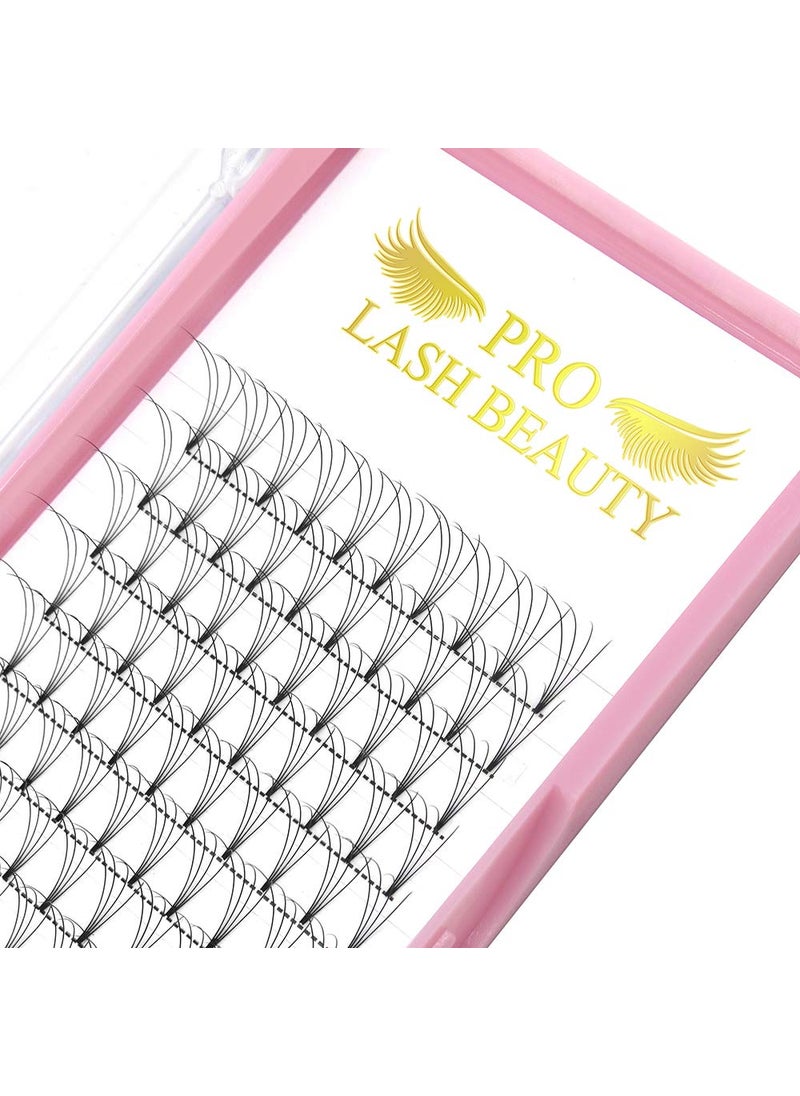 PRO LASHBEAUTY Premade Fans Eyelash Extensions 4D-D-0.10-16 Short Stem Premade Volume Eyelash Extensions .07 .10 C D Curl Pre made Lash Fans 9 to 20 mm Volume Lash Extensions (4D-D-0.10,16mm) 