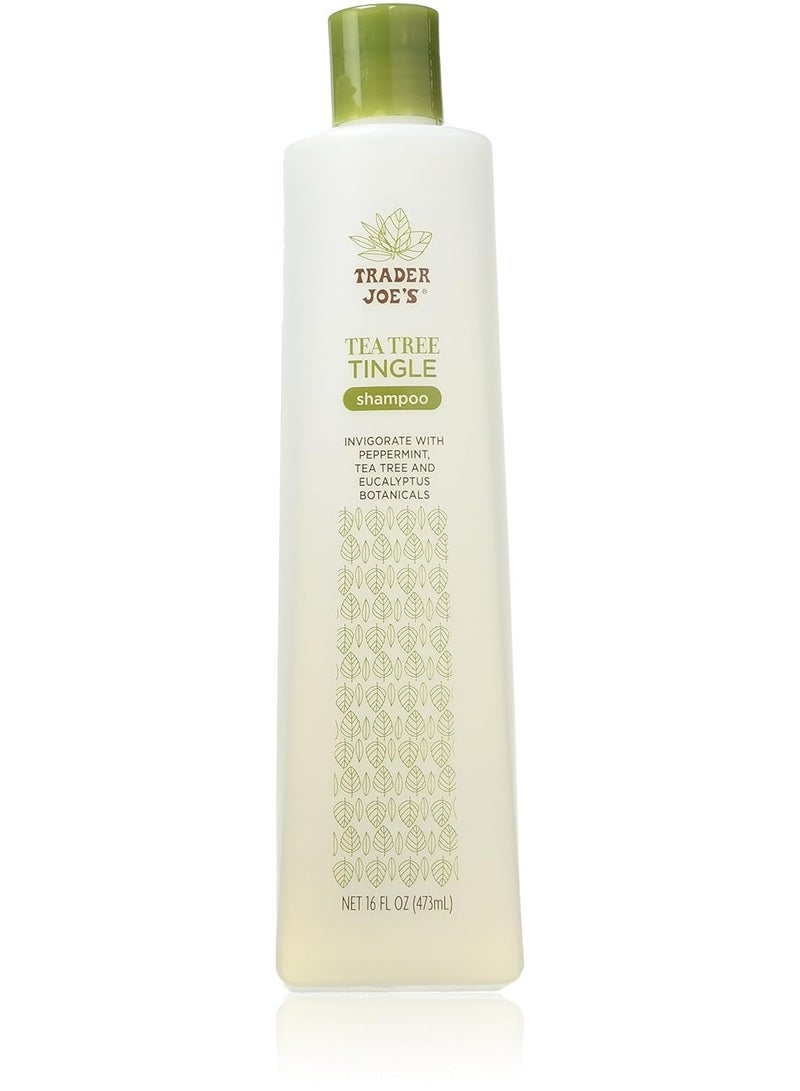 Trader Joe's Tea Tree Tingle Shampoo with Peppermint, Tea Tree and Eucalyptus Botanicals, 16-Ounces - Image 1