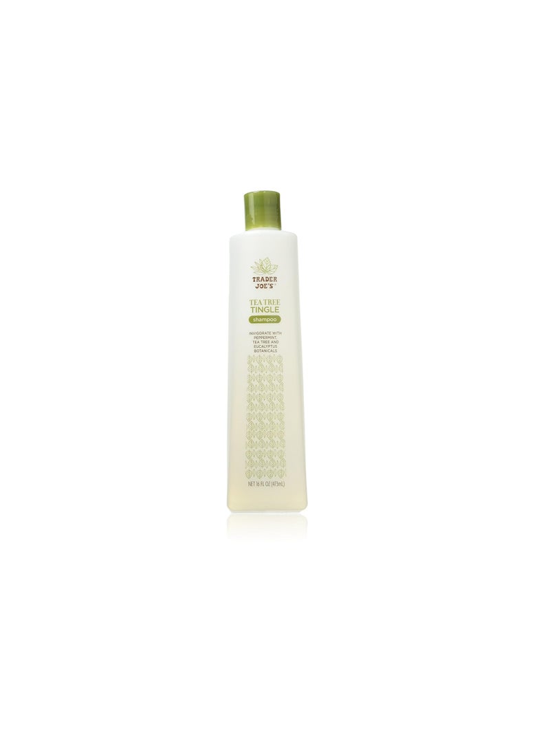 Trader Joe's Tea Tree Tingle Shampoo with Peppermint, Tea Tree and Eucalyptus Botanicals, 16-Ounces - Image 3