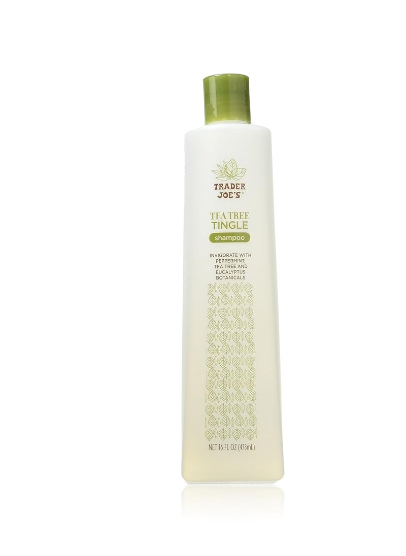 Trader Joe's Trader Joe's Tea Tree Tingle Shampoo with Peppermint, Tea Tree and Eucalyptus Botanicals, 16-Ounces  - Image 1
