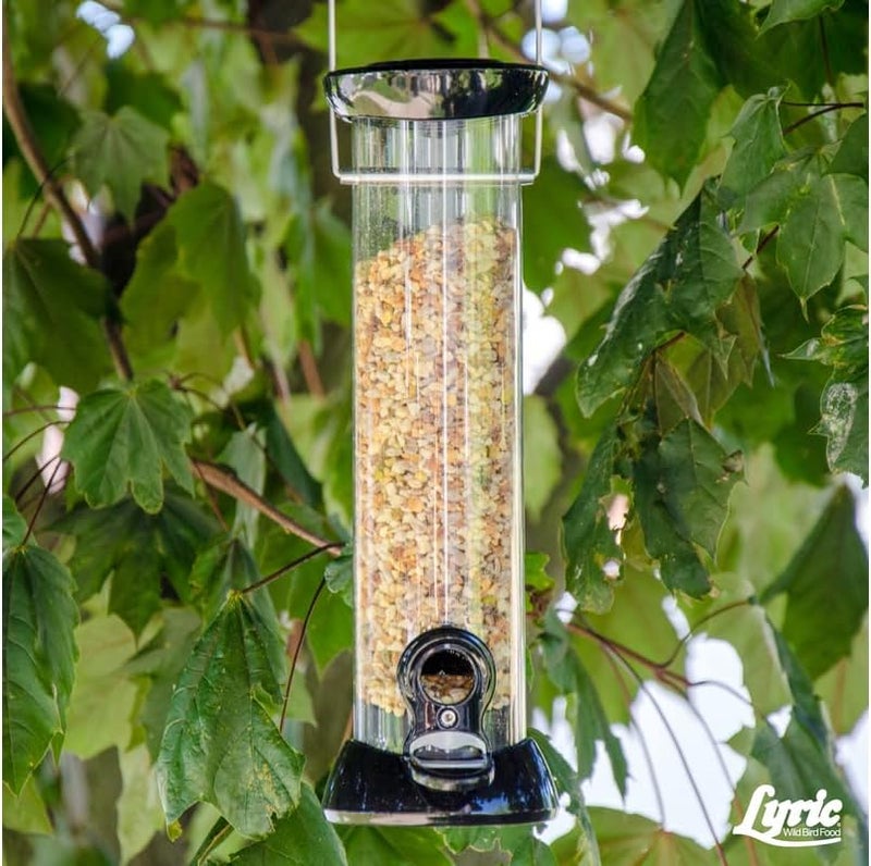 Lyric Fine Tunes Wild Bird Seed - No Waste Bird Food Mix - Attracts Bluebirds, Finches, Chickadees & More - 5 lb bag - Image 3