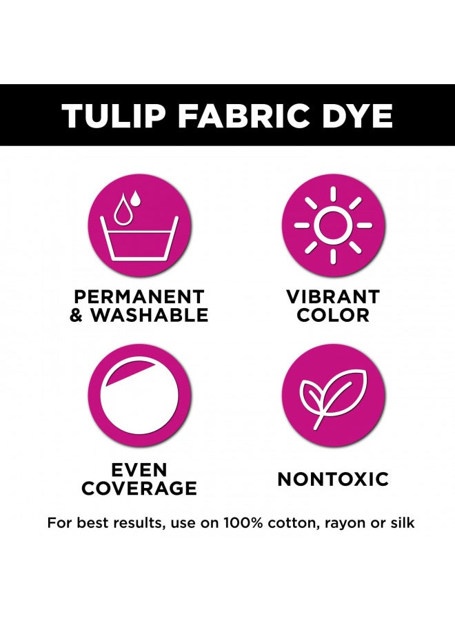 Tulip Fabric Dye 42735 Fdy Opstk Hot Purple - pzsku/ZF40B218D847ADE3C4C2CZ/45/_/1732283268/80090199-58ea-4c1b-a430-18f74f40a3e4