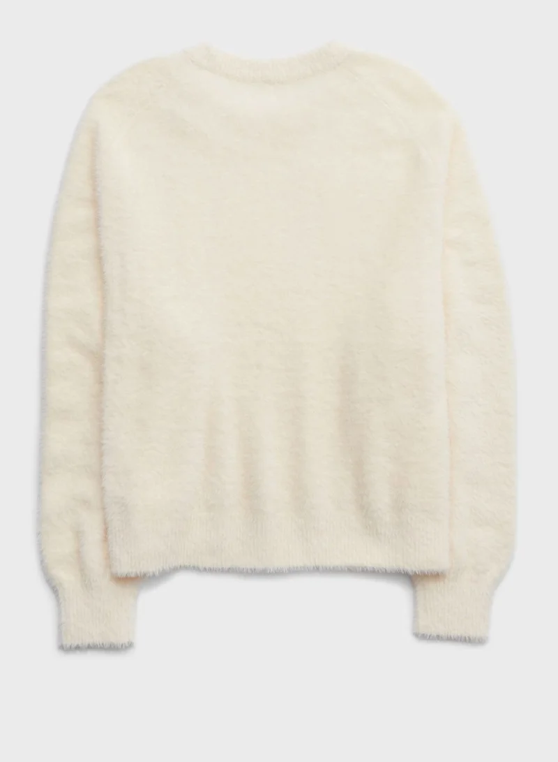 Aerie Crew Neck Knitted Sweater