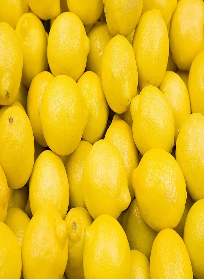GGOOT Lemon Seeds for Planting - 50 Seeds, Non-GMO Heirloom and Organic High Survival Rate Lemon Tree Seeds Planting for Home Garden - Image 1
